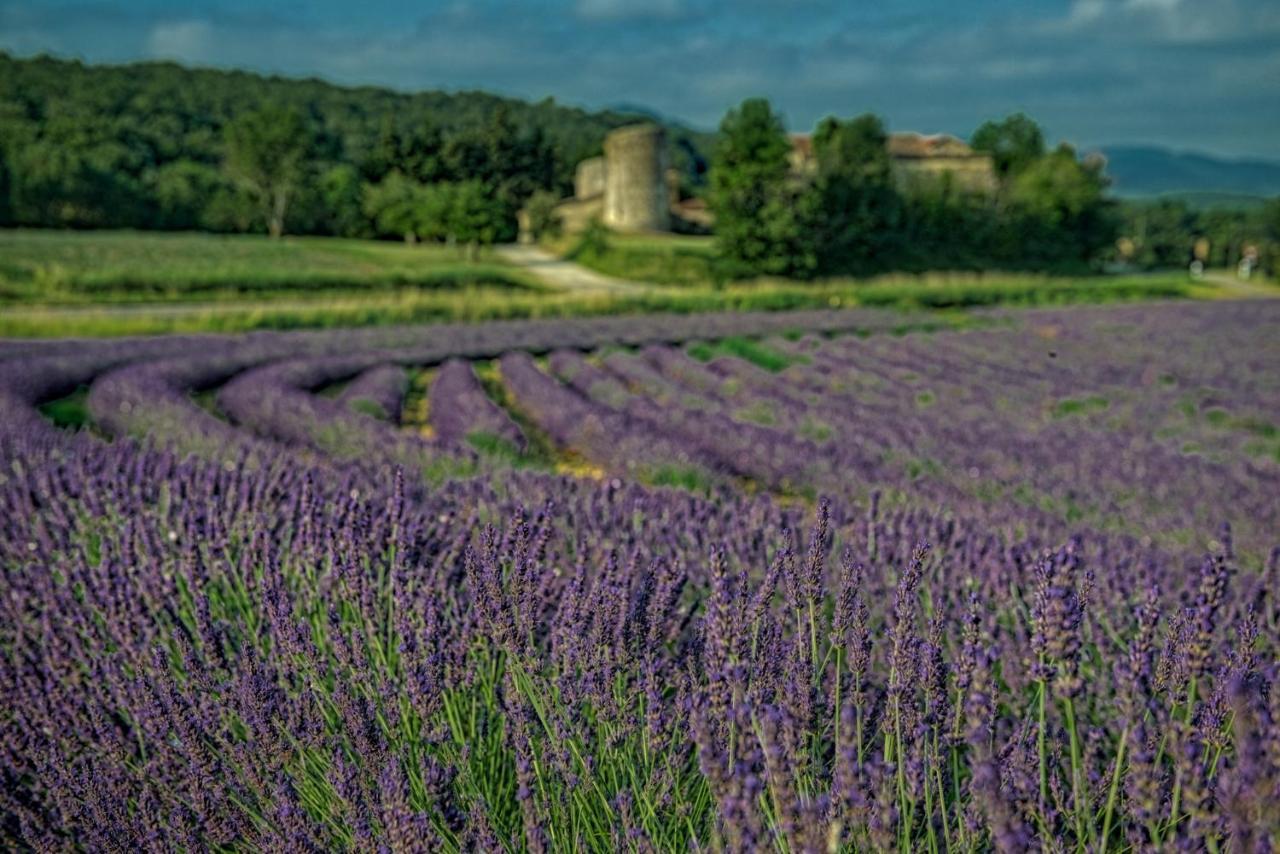 Pont-de-Barret Les Hirondellesヴィラ エクステリア 写真